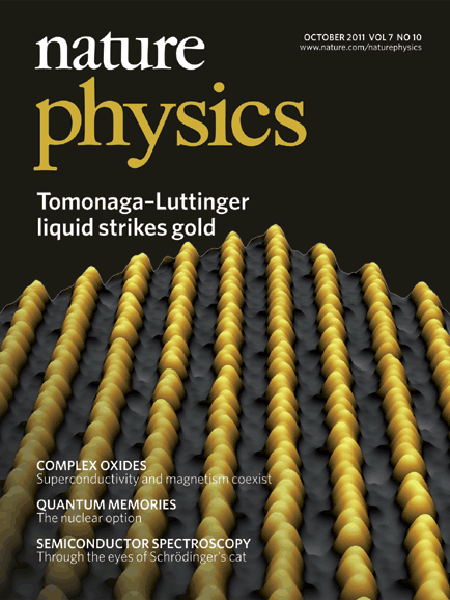 A quantum memory intrinsic to single nitrogen–vacancy centres in diamond
