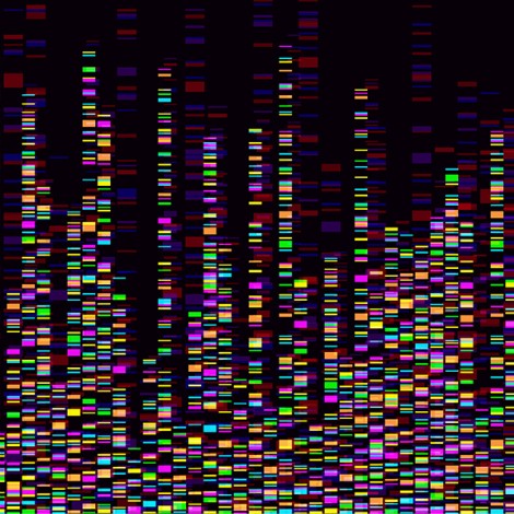 New AI-enabled foundational algorithms and methods